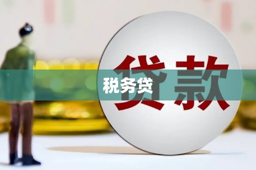 云林税务贷