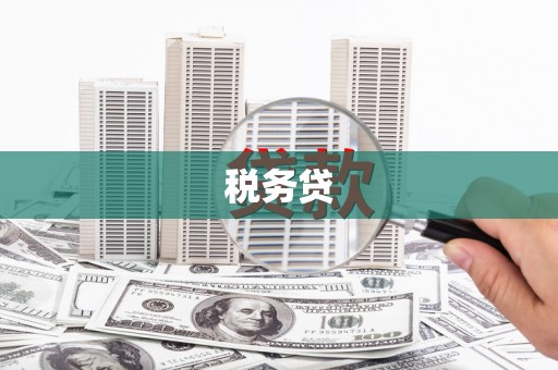 云林税务贷