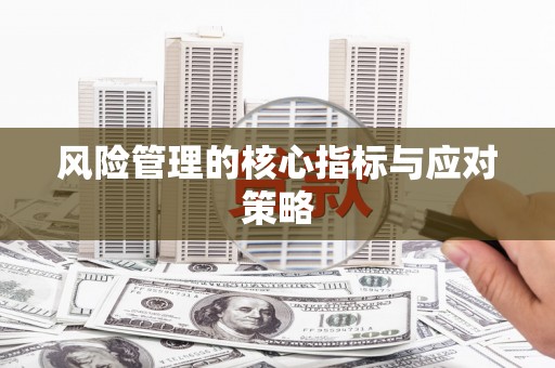 云林风险管理的核心指标与应对策略