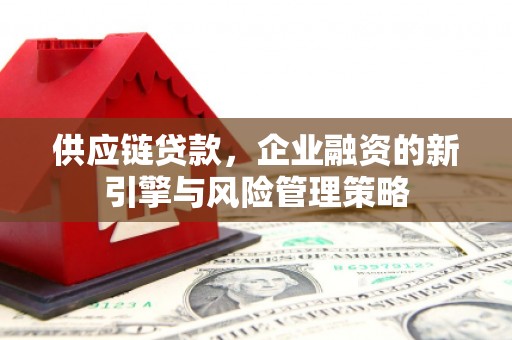 云林供应链贷款，企业融资的新引擎与风险管理策略