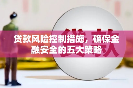 云林贷款风险控制措施，确保金融安全的五大策略