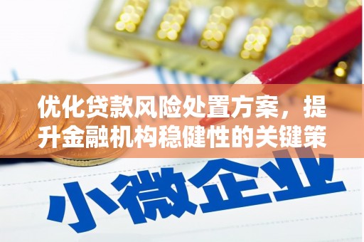 云林优化贷款风险处置方案，提升金融机构稳健性的关键策略