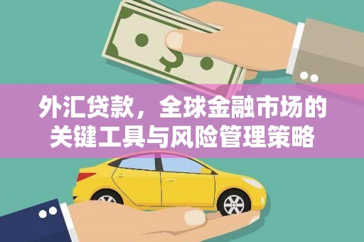 云林外汇贷款，全球金融市场的关键工具与风险管理策略