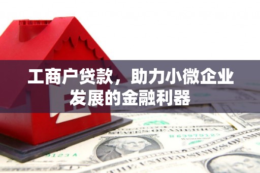 云林工商户贷款，助力小微企业发展的金融利器