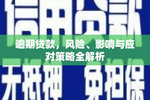 云林逾期贷款，风险、影响与应对策略全解析