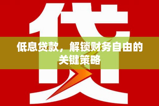 云林低息贷款，解锁财务自由的关键策略