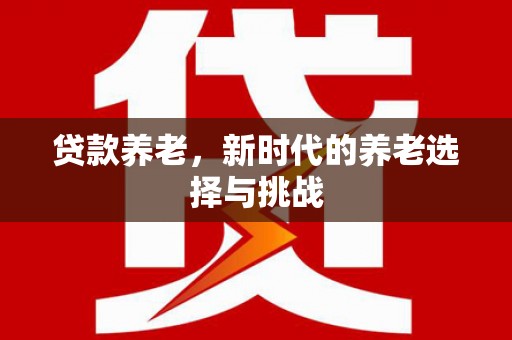 云林贷款养老，新时代的养老选择与挑战