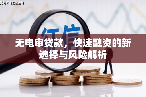 云林无电审贷款，快速融资的新选择与风险解析