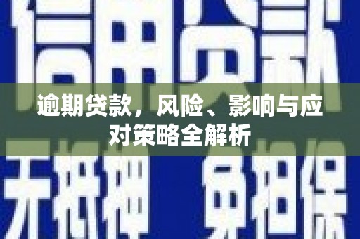 云林逾期贷款，风险、影响与应对策略全解析
