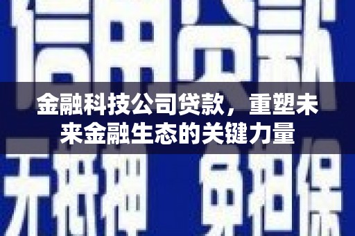 云林金融科技公司贷款，重塑未来金融生态的关键力量