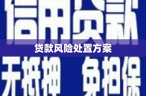 云林贷款风险处置方案
