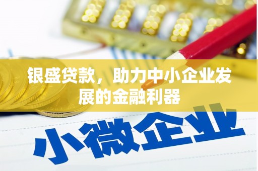 云林银盛贷款，助力中小企业发展的金融利器