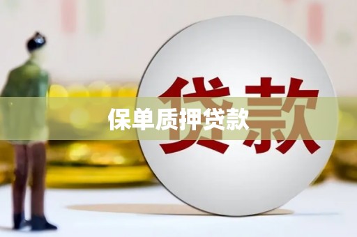 云林保单质押贷款
