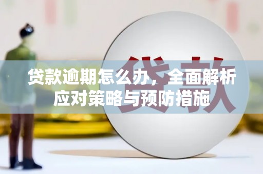 云林贷款逾期怎么办，全面解析应对策略与预防措施