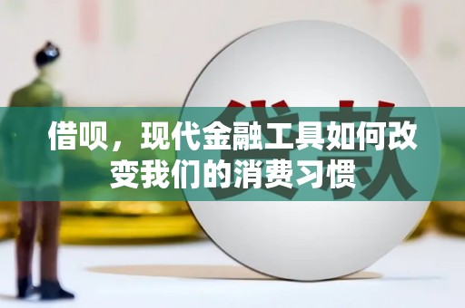 云林借呗，现代金融工具如何改变我们的消费习惯