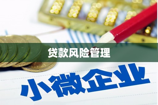 云林贷款风险管理