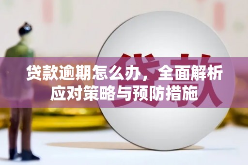 云林贷款逾期怎么办，全面解析应对策略与预防措施