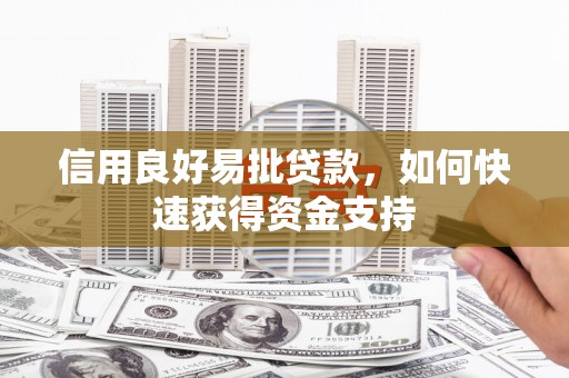 云林信用良好易批贷款，如何快速获得资金支持