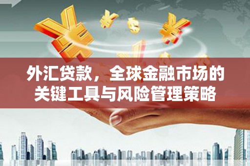 云林外汇贷款，全球金融市场的关键工具与风险管理策略
