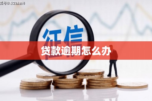 云林贷款逾期怎么办