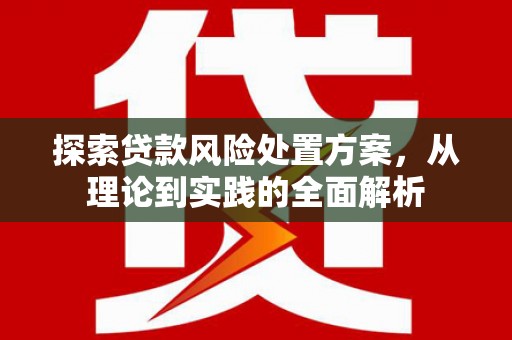 云林探索贷款风险处置方案，从理论到实践的全面解析
