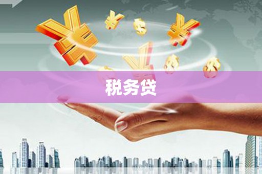 云林税务贷