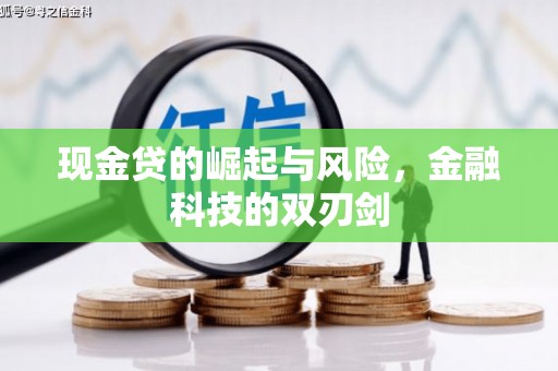 云林现金贷的崛起与风险，金融科技的双刃剑