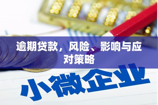 云林逾期贷款，风险、影响与应对策略