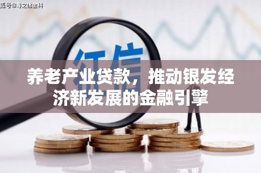 云林养老产业贷款，推动银发经济新发展的金融引擎