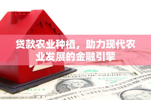 云林贷款农业种植，助力现代农业发展的金融引擎