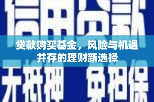 云林贷款购买基金，风险与机遇并存的理财新选择