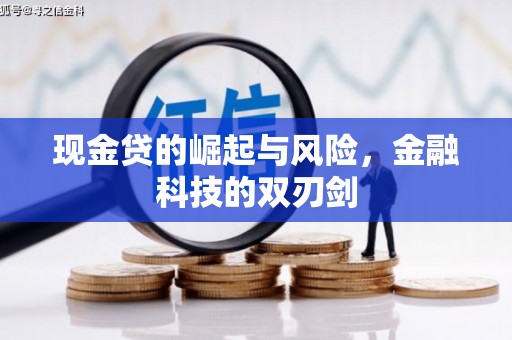 云林现金贷的崛起与风险，金融科技的双刃剑