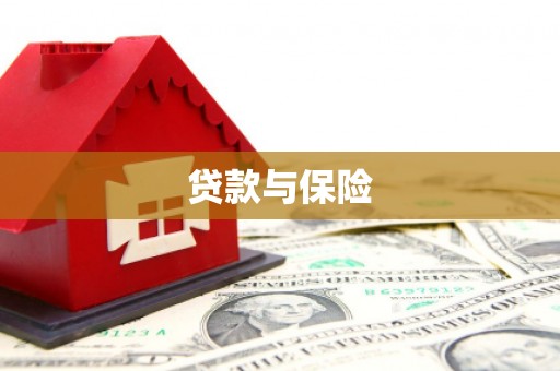 云林贷款与保险
