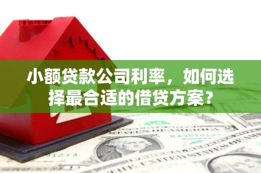 云林小额贷款公司利率，如何选择最合适的借贷方案？