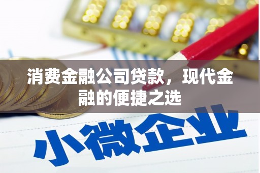 云林消费金融公司贷款，现代金融的便捷之选