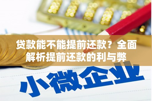 云林贷款能不能提前还款？全面解析提前还款的利与弊