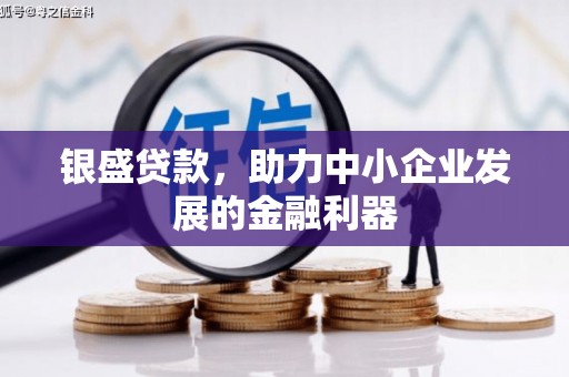 云林银盛贷款，助力中小企业发展的金融利器
