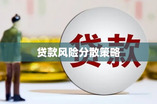 云林贷款风险分散策略