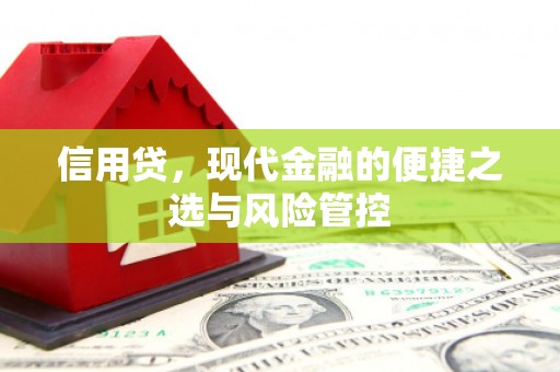 云林信用贷，现代金融的便捷之选与风险管控
