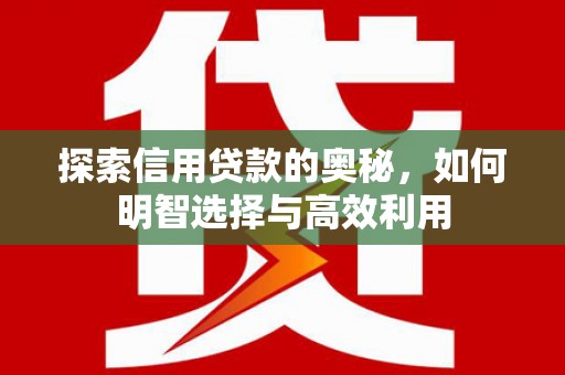 云林探索信用贷款的奥秘，如何明智选择与高效利用