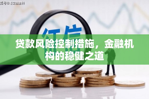 云林贷款风险控制措施，金融机构的稳健之道
