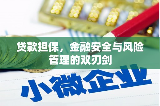 云林贷款担保，金融安全与风险管理的双刃剑