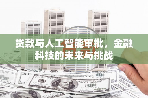 云林贷款与人工智能审批，金融科技的未来与挑战