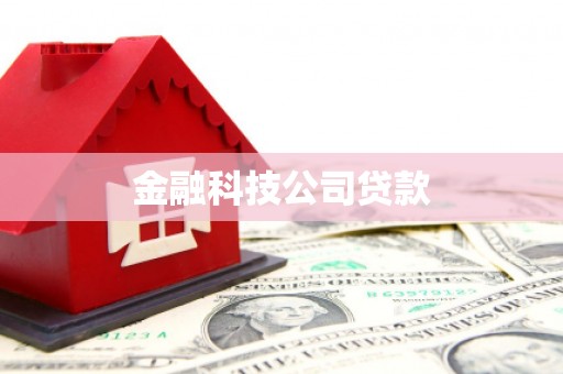 云林金融科技公司贷款