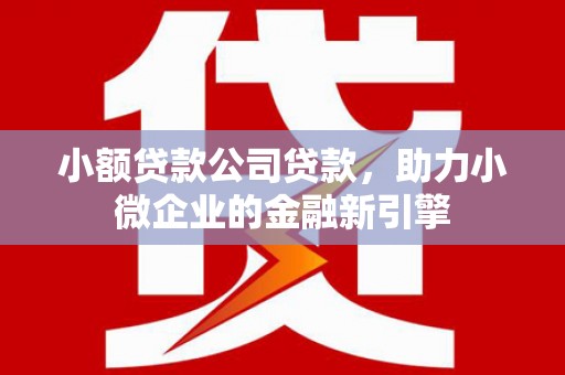 云林小额贷款公司贷款，助力小微企业的金融新引擎