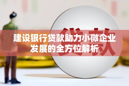 云林建设银行贷款助力小微企业发展的全方位解析
