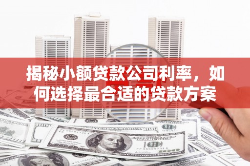云林揭秘小额贷款公司利率，如何选择最合适的贷款方案