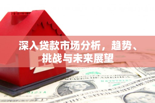云林深入贷款市场分析，趋势、挑战与未来展望