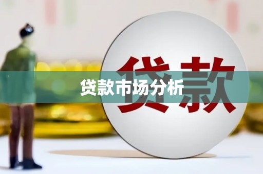 云林贷款市场分析