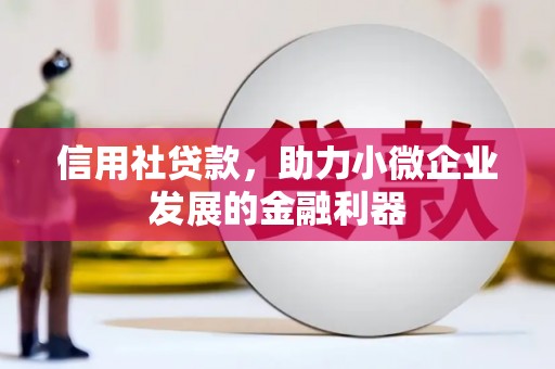 云林信用社贷款，助力小微企业发展的金融利器